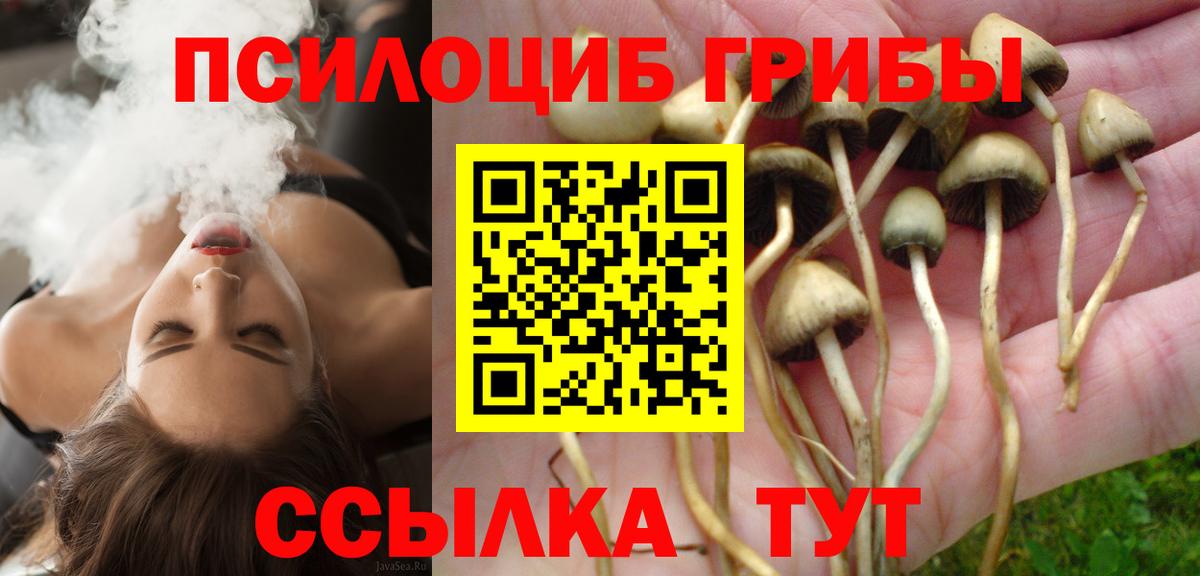 Псилоцибиновые грибы Psilocybine cubensis  Вход с VPN  Мурино 